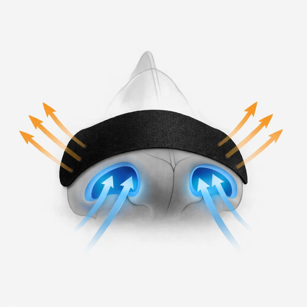 A diagram showing how BREATHMODE nasal strips work to open up the nasal valve and prevent nasal collapse to improve nasal breathing